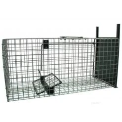 Vangkooi Rat 1 Ingang Gaas 50X20X20 Cm