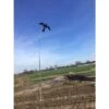 Vogelverschrikker Bird Scaring Kite 4 Meter Met Draaiende Voet